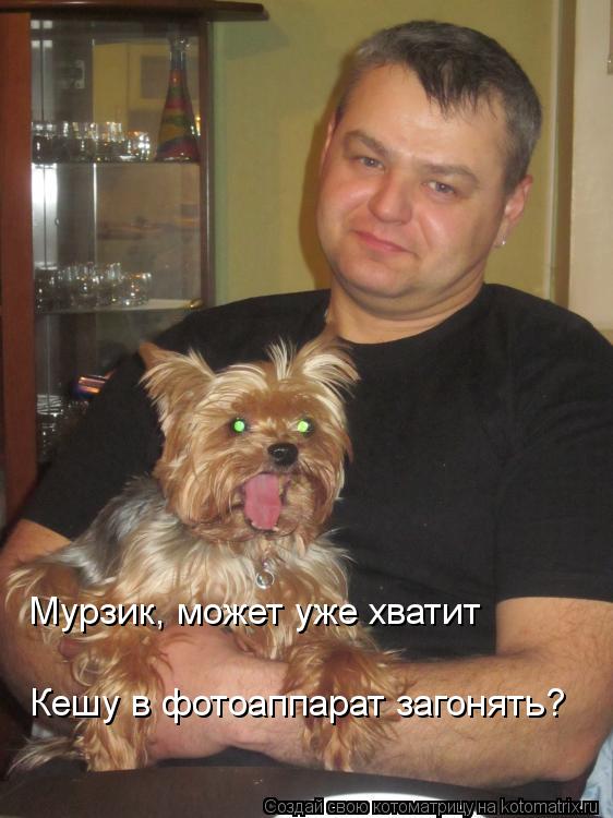Котоматрица: Мурзик, может уже хватит  Кешу в фотоаппарат загонять?