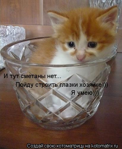Котоматрица: И тут сметаны нет... Пойду строить глазки хозяйке))) Я умею)))