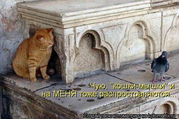 Котоматрица: -Чую, "кошки-мышки" и  на МЕНЯ тоже распространяются...