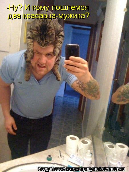 Котоматрица: -Ну? И кому пошлемся два красавца-мужика?
