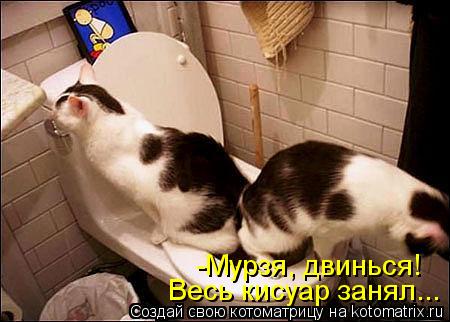 Котоматрица: -Мурзя, двинься! Весь кисуар занял...