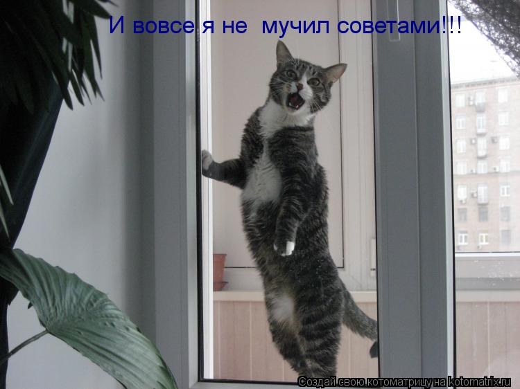 Котоматрица: И вовсе я не  мучил советами!!!