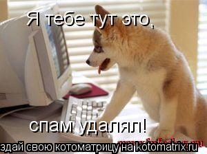 Котоматрица: Я тебе тут это , спам удалял!