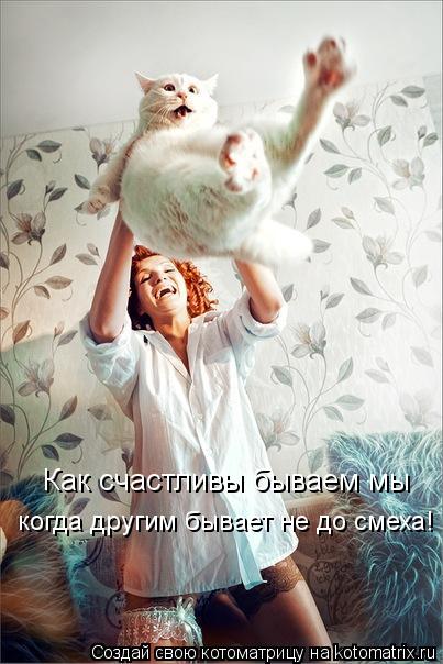 Как счастливы бываем мы когда другим бывает не до смеха!... Котоматрица: Как счастливы бываем мы когда другим бывает не до смеха!