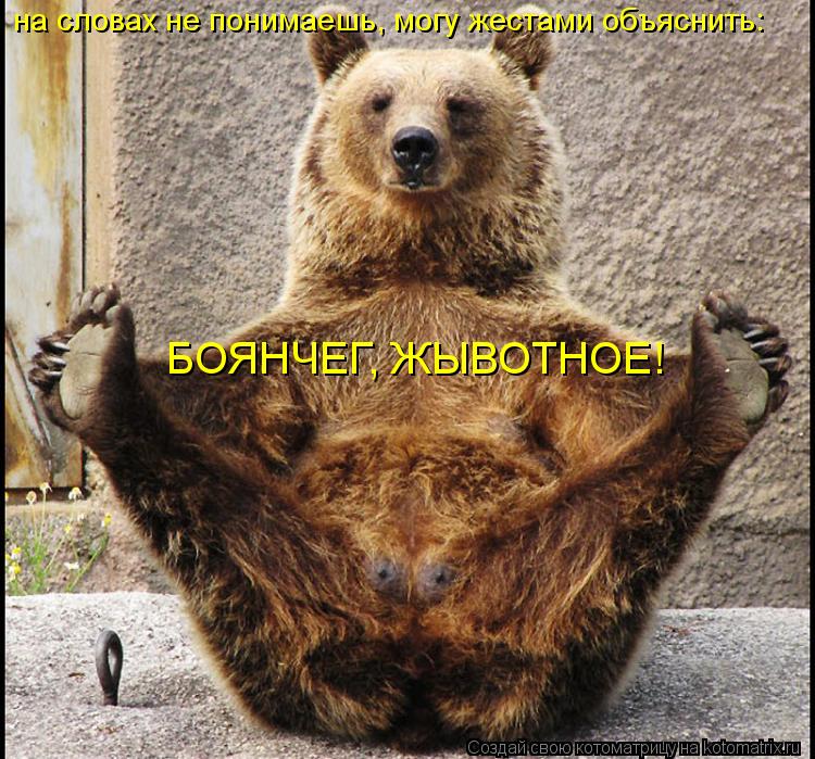 на словах не понимаешь, могу жестами объяснить: БОЯНЧЕГ, ЖЫВОТНОЕ!... Котоматрица: на словах не понимаешь, могу жестами объяснить: БОЯНЧЕГ, ЖЫВОТНОЕ!