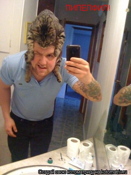 ПИПЕЛФИЛ!... Котоматрица: ПИПЕЛФИЛ!