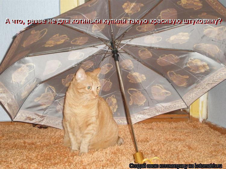 А что, разве не для котиньки купили такую красивую штуковину? А что, разве не для котиньки купили так... Котоматрица: А что, разве не для котиньки купили такую красивую штуковину? А что, разве не для котиньки купили такую красивую штуковину? А что, разве не дл