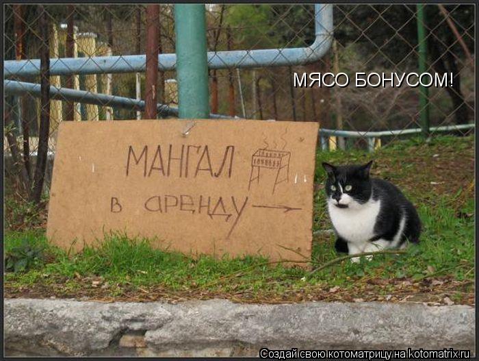 МЯСО БОНУСОМ!... Котоматрица: МЯСО БОНУСОМ!