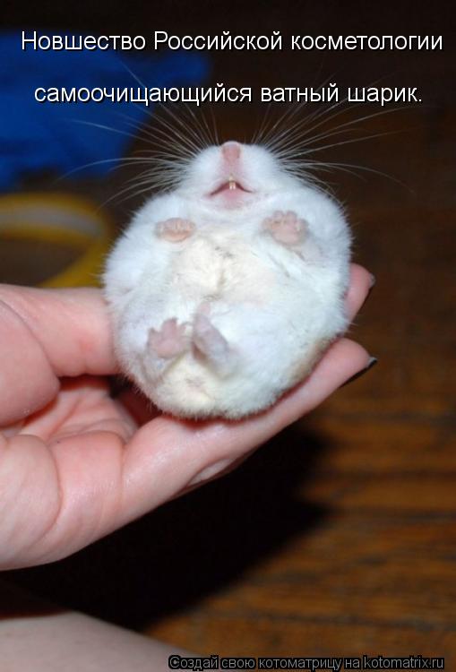 Новшество Российской косметологии самоочищающийся ватный шарик.... Котоматрица: Новшество Российской косметологии самоочищающийся ватный шарик.
