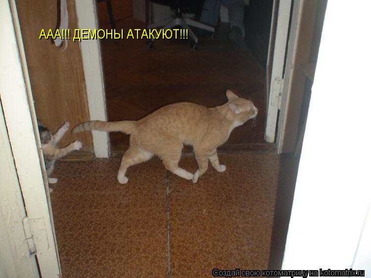 ААА!!! ДЕМОНЫ АТАКУЮТ!!!... Котоматрица: ААА!!! ДЕМОНЫ АТАКУЮТ!!!
