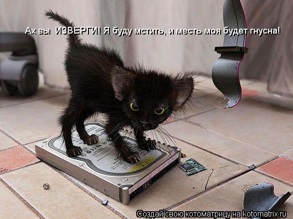 Ах вы ИЗВЕРГИ! Я буду мстить, и месть моя будет гнусна!... Котоматрица: Ах вы ИЗВЕРГИ! Я буду мстить, и месть моя будет гнусна!