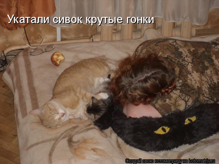 Укатали сивок крутые гонки... Котоматрица: Укатали сивок крутые гонки