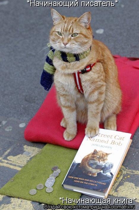 *Начинающая книга* *Начинающий писатель*... Котоматрица: *Начинающая книга* *Начинающий писатель*