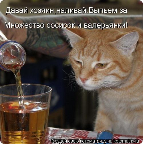 Давай хозяин,наливай.Выпьем за Множество сосисок и валерьянки!... Котоматрица: Давай хозяин,наливай.Выпьем за Множество сосисок и валерьянки!