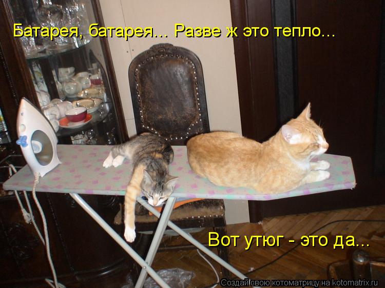 Батарея, батарея... Разве ж это тепло... Вот утюг - это да...... Котоматрица: Батарея, батарея... Разве ж это тепло... Вот утюг - это да...