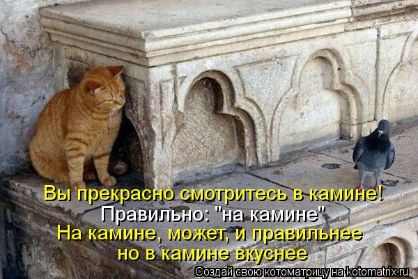 Вы прекрасно смотритесь в камине! Правильно: "на камине" На камине, может, и правильнее но в камине в... Котоматрица: Вы прекрасно смотритесь в камине! Правильно: "на камине" На камине, может, и правильнее но в камине вкуснее