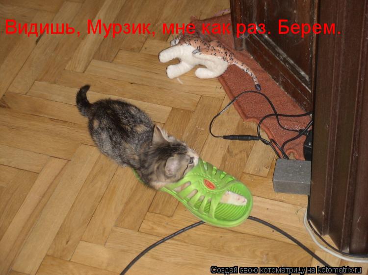 Видишь, Мурзик, мне как раз. Берем.... Котоматрица: Видишь, Мурзик, мне как раз. Берем.