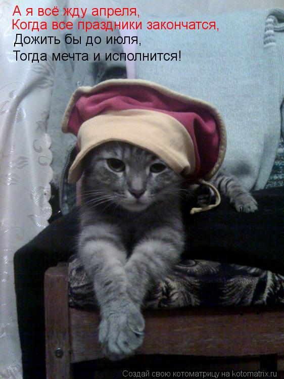 А я всё жду апреля, Когда все праздники закончатся, Дожить бы до июля, Тогда мечта и исполнится!... Котоматрица: А я всё жду апреля, Когда все праздники закончатся, Дожить бы до июля, Тогда мечта и исполнится!