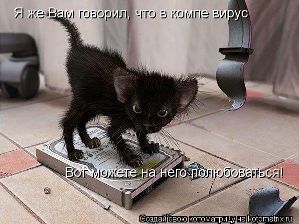 Я же Вам говорил, что в компе вирус Вот можете на него полюбоваться!... Котоматрица: Я же Вам говорил, что в компе вирус Вот можете на него полюбоваться!