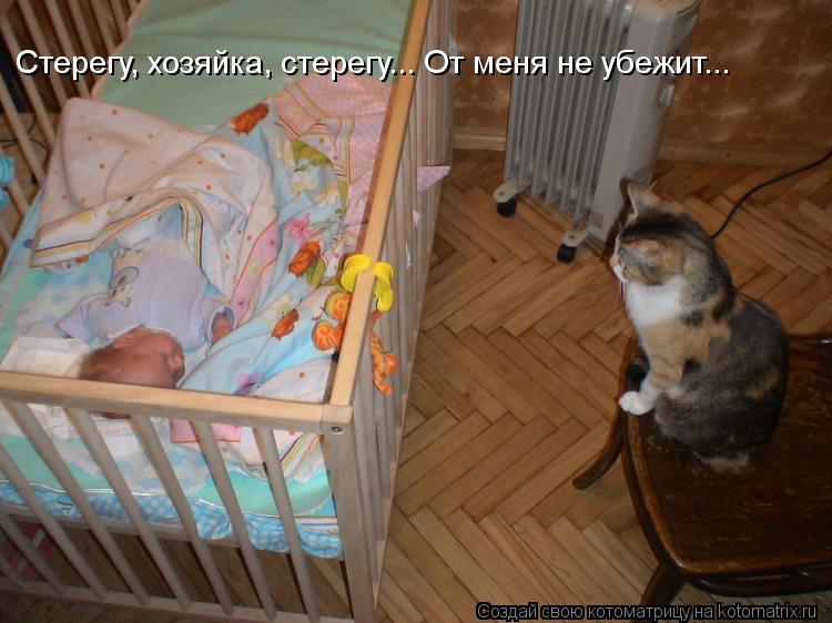 Стерегу, хозяйка, стерегу... От меня не убежит...... Котоматрица: Стерегу, хозяйка, стерегу... От меня не убежит...