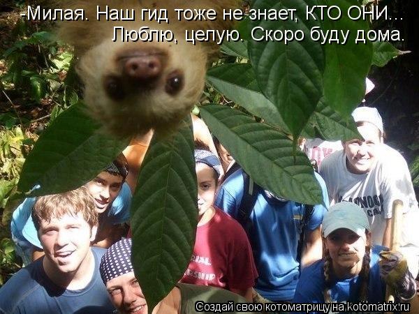 Люблю, целую. Скоро буду дома. -Милая. Наш гид тоже не знает, КТО ОНИ...... Котоматрица: Люблю, целую. Скоро буду дома. -Милая. Наш гид тоже не знает, КТО ОНИ...