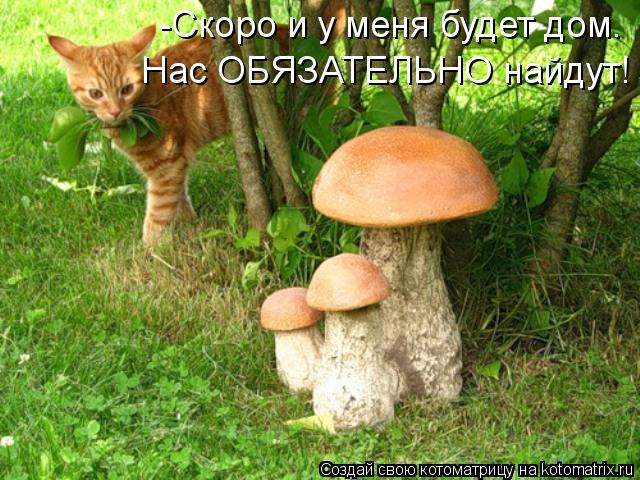 -Скоро и у меня будет дом. Нас ОБЯЗАТЕЛЬНО найдут!... Котоматрица: -Скоро и у меня будет дом. Нас ОБЯЗАТЕЛЬНО найдут!