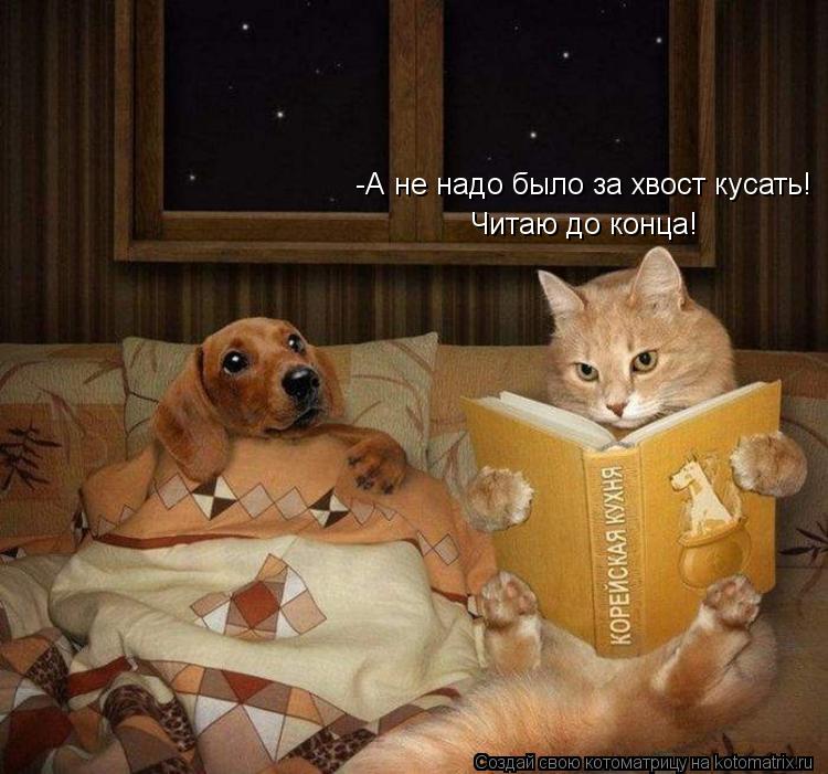 -А не надо было за хвост кусать! Читаю до конца!... Котоматрица: -А не надо было за хвост кусать! Читаю до конца!