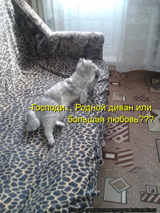 -Господи... Родной диван или большая любовь???... Котоматрица: -Господи... Родной диван или большая любовь???