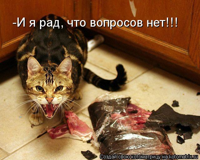 -И я рад, что вопросов нет!!!... Котоматрица: -И я рад, что вопросов нет!!!