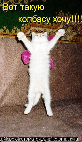 Вот такую колбасу хочу!!!!... Котоматрица: Вот такую колбасу хочу!!!!