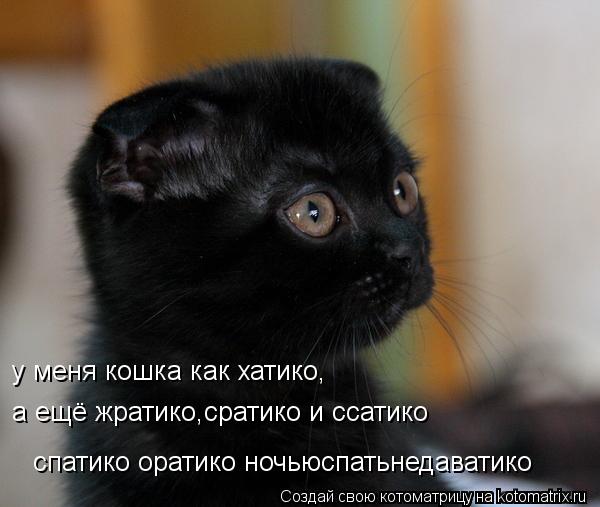 Котоматрица: у меня кошка как хатико, а ещё жратико,сратико и ссатико спатико оратико ночьюспатьнедаватико