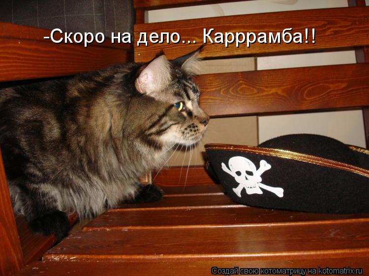 -Скоро на дело... Карррамба!!... Котоматрица: -Скоро на дело... Карррамба!!
