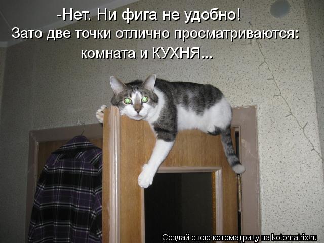 Котоматрица: -Нет. Ни фига не удобно! Зато две точки отлично просматриваются: комната и КУХНЯ...