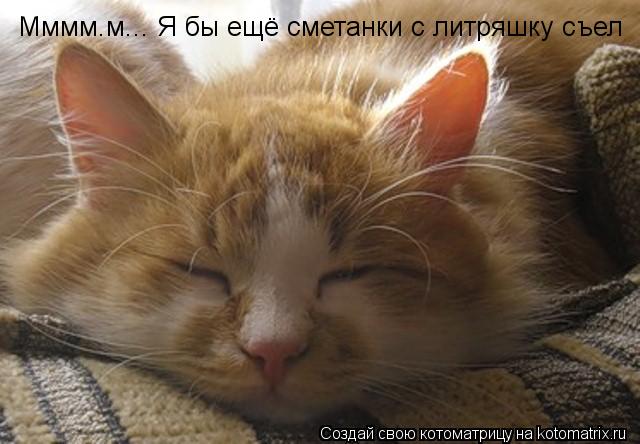 Мммм.м... Я бы ещё сметанки с литряшку съел... Котоматрица: Мммм.м... Я бы ещё сметанки с литряшку съел