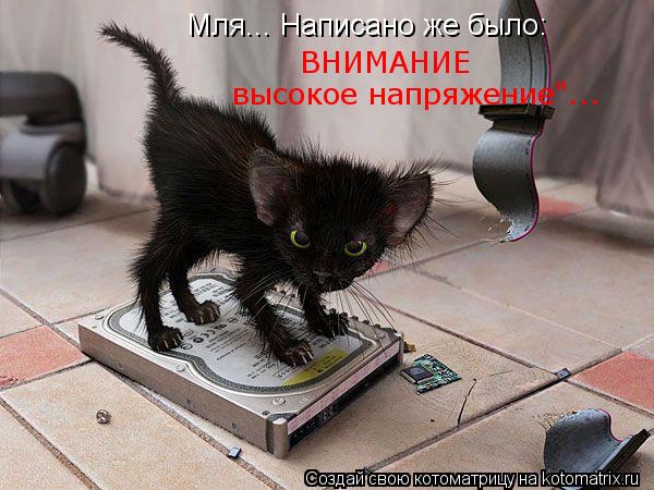 Котоматрица: Мля... Написано же было:  высокое напряжение"... ВНИМАНИЕ