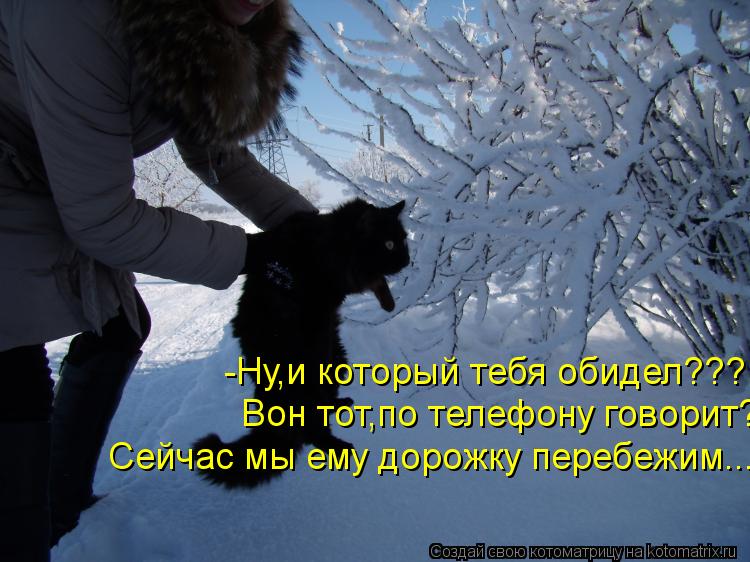 Котоматрица: -Ну,и который тебя обидел??? Вон тот,по телефону говорит? Сейчас мы ему дорожку перебежим...