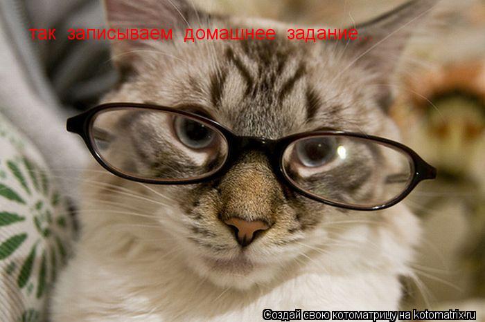 Котоматрица: так  записываем  домашнее  задание...