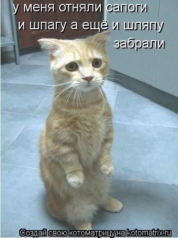 Котоматрица: у меня отняли сапоги   и шпагу а ещё и шляпу  забрали