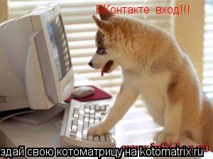 Котоматрица: ВКонтакте  вход!!!