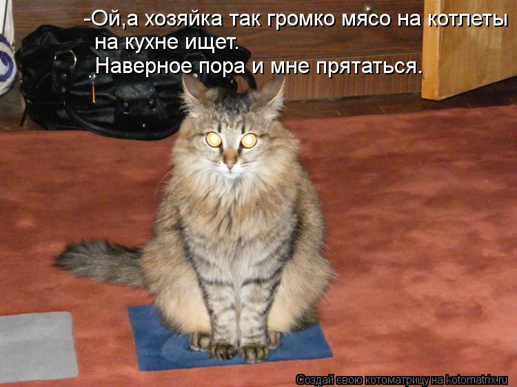 Котоматрица: -Ой,а хозяйка так громко мясо на котлеты на кухне ищет. Наверное пора и мне прятаться.
