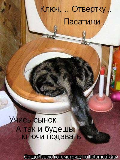 Котоматрица: Пасатижи... Учись сынок А так и будешь  ключи подавать Ключ.... Отвертку...