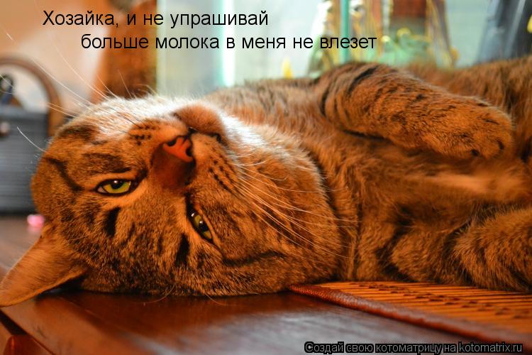 Котоматрица: Хозайка, и не упрашивай больше молока в меня не влезет