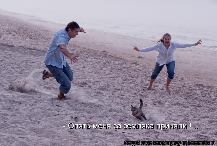 Котоматрица: - Опять меня за земляка приняли !....