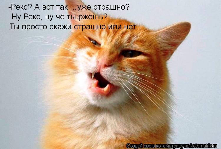 Котоматрица: -Рекс? А вот так ...уже страшно? Ну Рекс, ну чё ты ржёшь? Ты просто скажи страшно или нет...