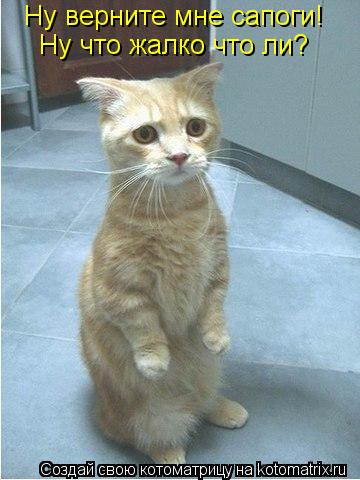 Котоматрица: Ну верните мне сапоги!  Ну что жалко что ли?