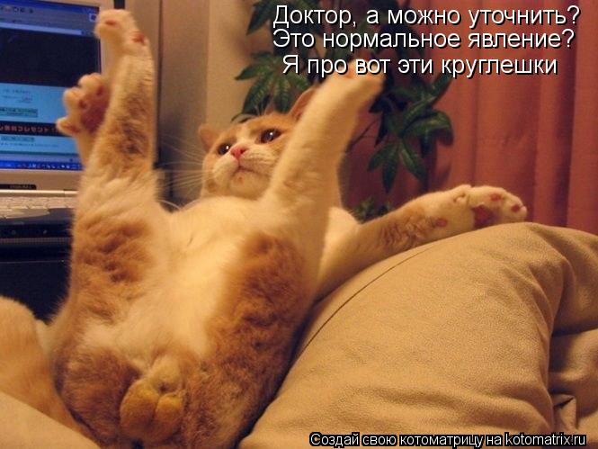 Котоматрица: Доктор, а можно уточнить? Это нормальное явление? Я про вот эти круглешки