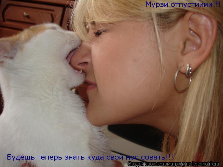 Котоматрица: Будешь теперь знать куда свой нос совать!!! Мурзи отпустииии!!!