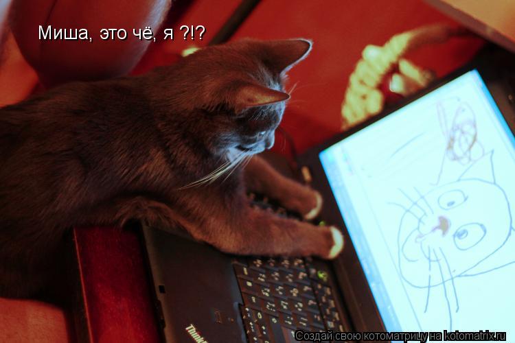 Котоматрица: Миша, это чё, я ?!?