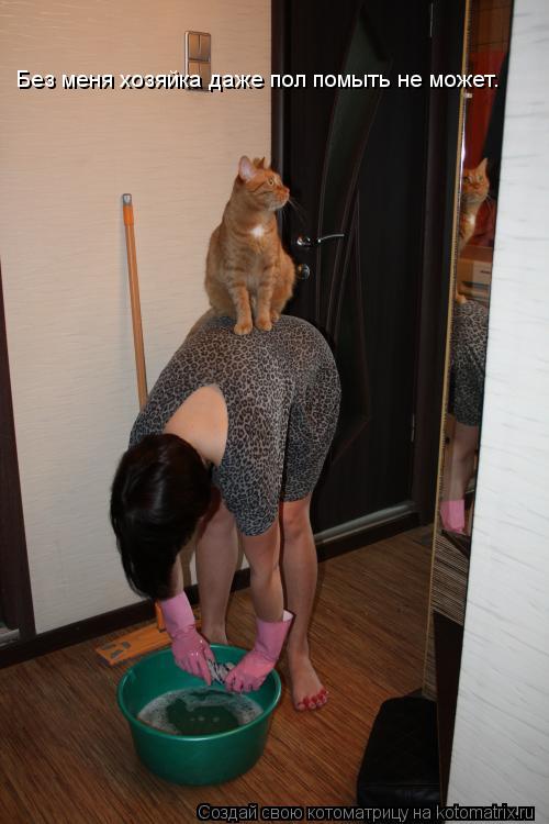 Котоматрица: Без меня хозяйка даже пол помыть не может.
