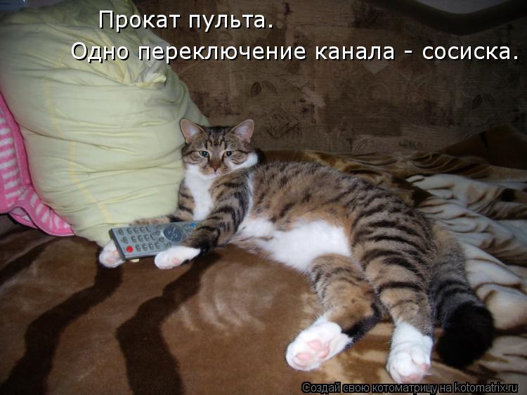 Котоматрица: Прокат пульта.  Одно переключение канала - сосиска.